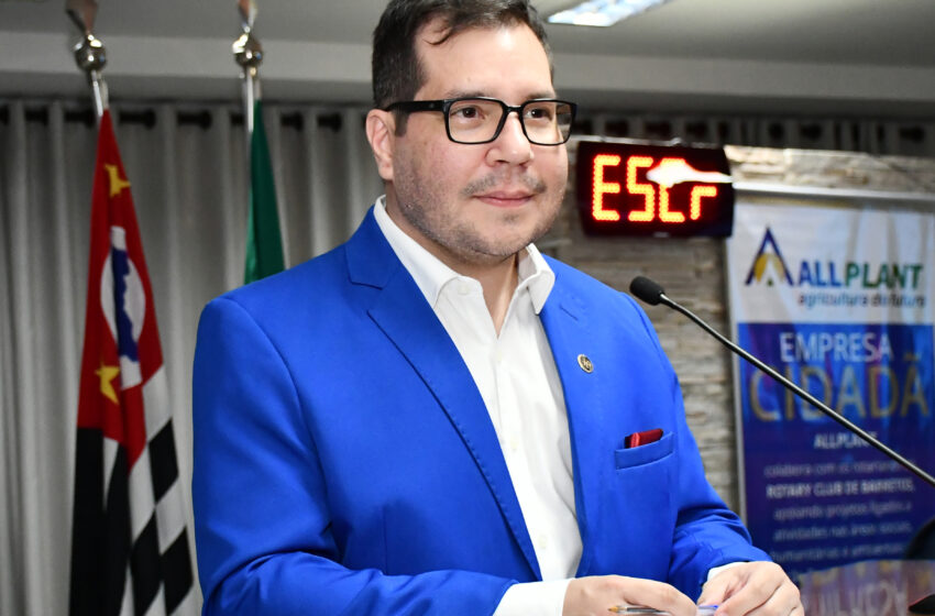  A conta da carne: O peso da perda de mercado e o futuro da economia brasileira