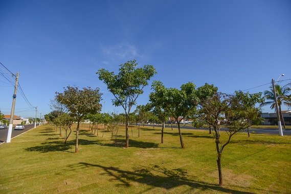  Região do Jardim de Alah ganha nova área verde