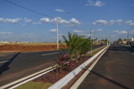  Avenida Roberto Rios recebe plantio de árvores e ornamentação paisagística