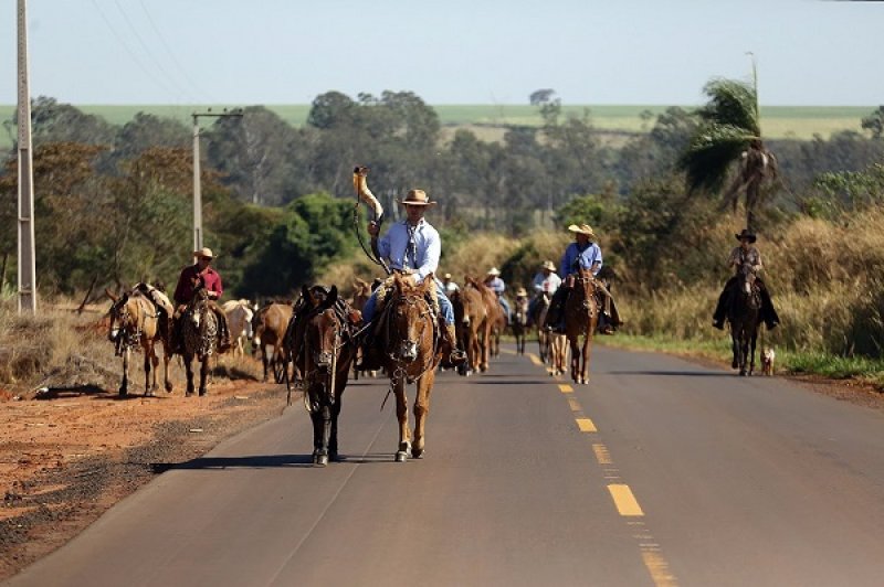  Comitiva vai cavalgar 130 quilômetros com destino à Festa do Peão de Barretos