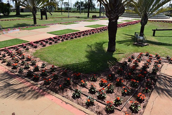  Parque do Peão recebe 40 mil novas mudas de flores