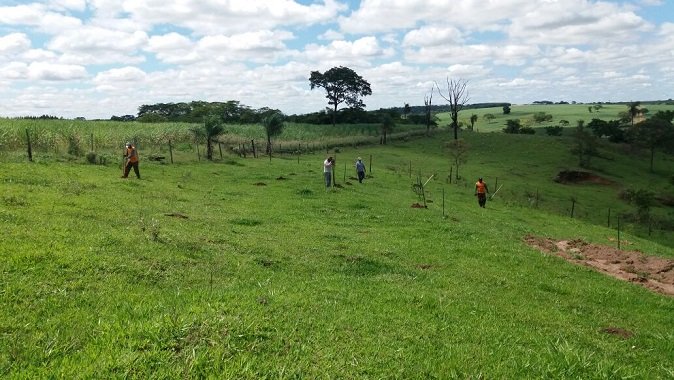  Prefeitura realiza trabalho de  reflorestamento e recuperação de nascentes