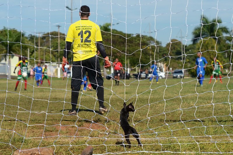  José Faleiros vence com gato na rede