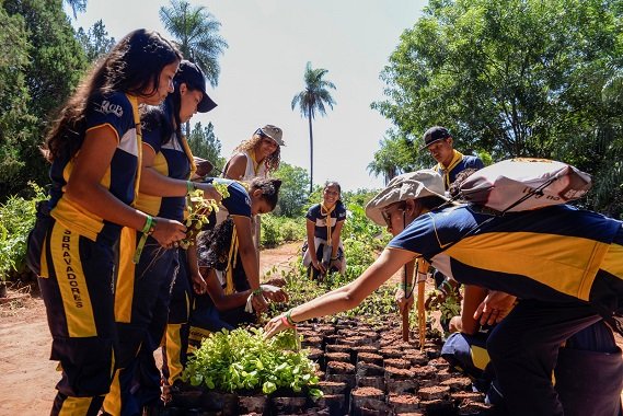  Cidade é invadida pelos Desbravadores atuando em projetos comunitários