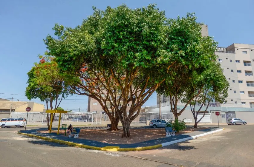  Área do Bairro Nadir Kenan é limpa e ganha plantio de grama