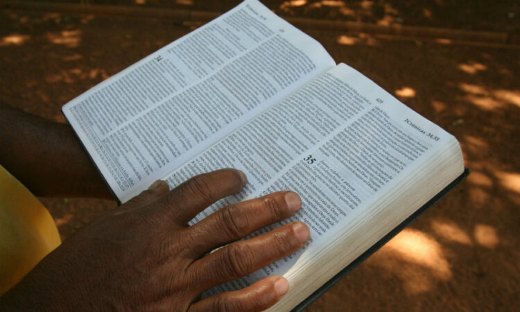  Testemunhas de Jeová planejam lançar Bíblias em 36 idiomas em 2021