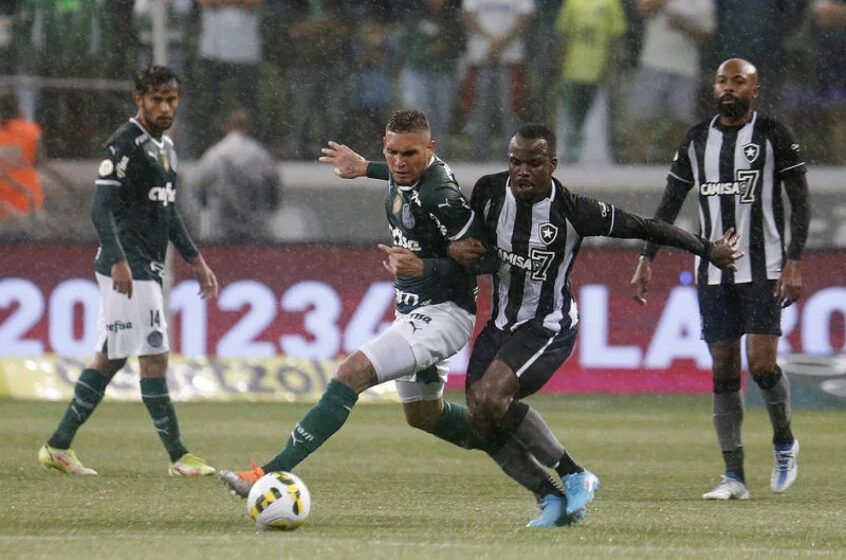  Botafogo enfrenta o Palmeiras no Estádio Nilton Santos
