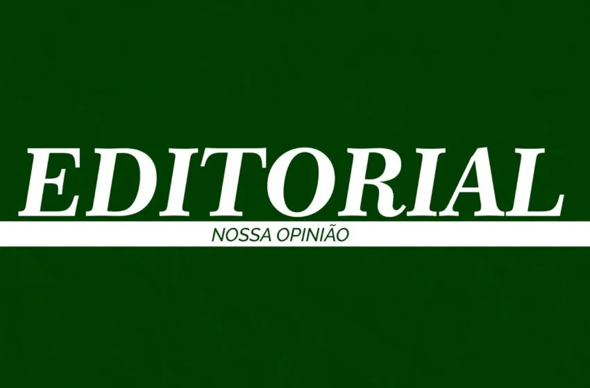  Tatiane Muzetti consegue transformar promessas em propostas concretas?