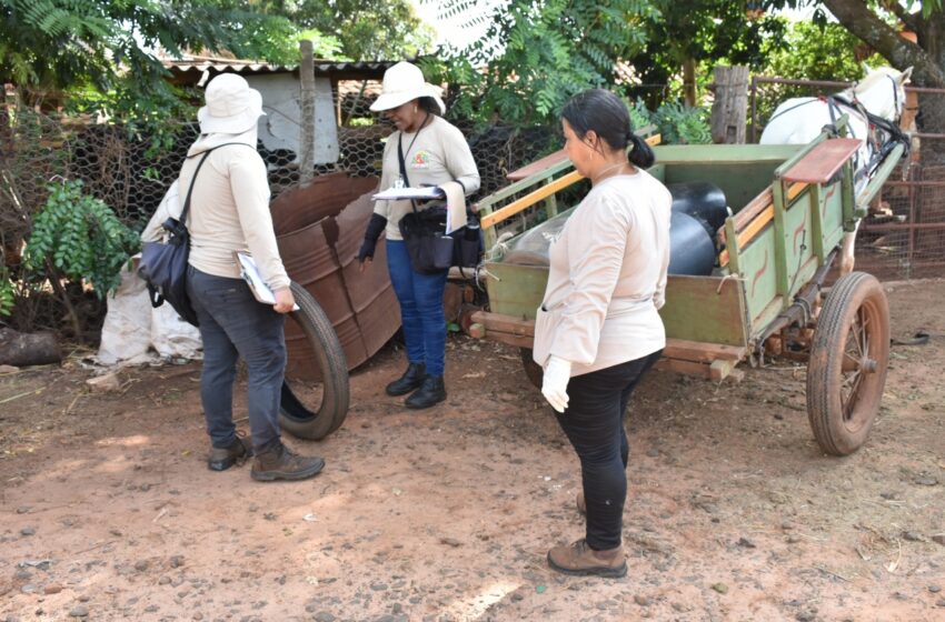  Arrastão da Limpeza elimina toneladas de materiais inservíveis e combate a dengue em Ibitu