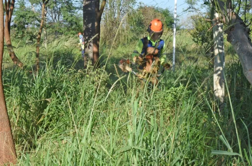  Barretos notifica proprietários para limpar terrenos e combater Aedes aegypti