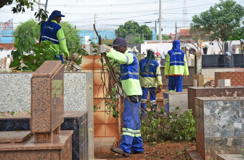  Prefeitura promove mutirão de limpeza e manutenção do Cemitério Municipal da Paz