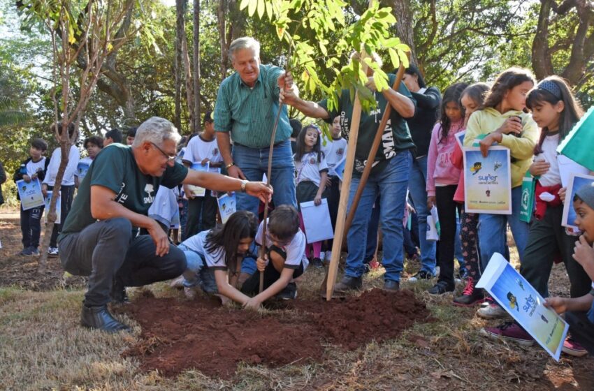  Fazenda municipal recebe população até sexta-feira, 7, para a Semana do Meio Ambiente