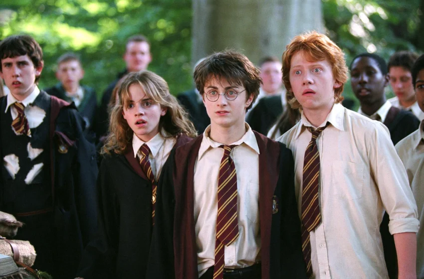  “Divertida Mente 2”, “Harry Potter” e “Meu Malvado Favorito 4” são destaques da semana no Centerplex Barretos