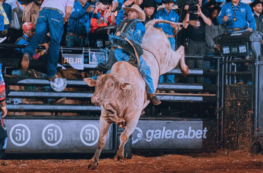  Competidor de Araraquara leva a maior nota da segunda noite da Liga Nacional de Rodeio