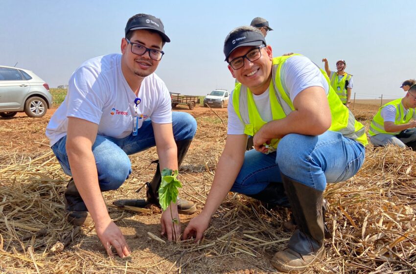  Em comemoração ao Dia da Árvore, colaboradores da Tereos plantam mil mudas em fazenda em Barretos (SP)