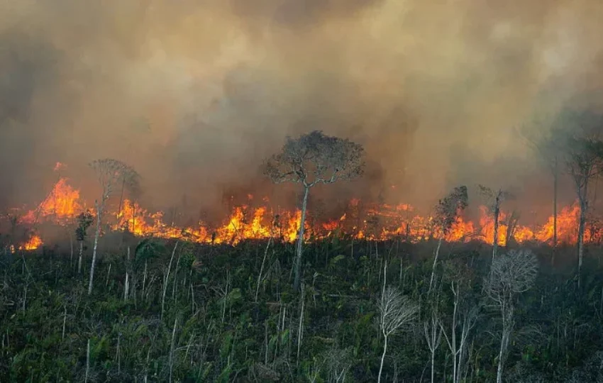  Queimadas: desafios, impactos e soluções emergenciais