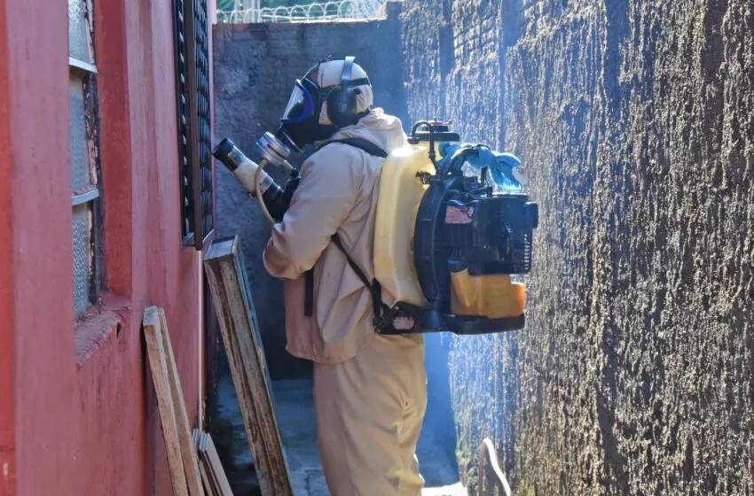  Decreto de epidemia de dengue vai vigorar por 180 dias
