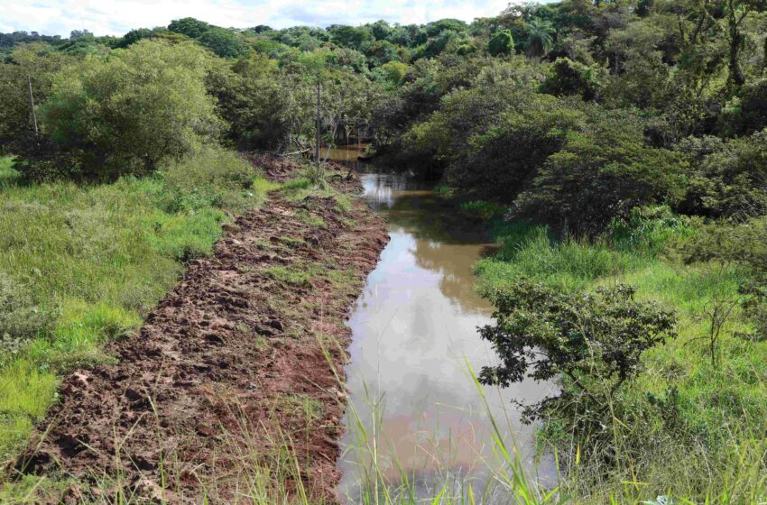  Obras de desassoreamento avançam no Ribeirão das Pitangueiras em Barretos