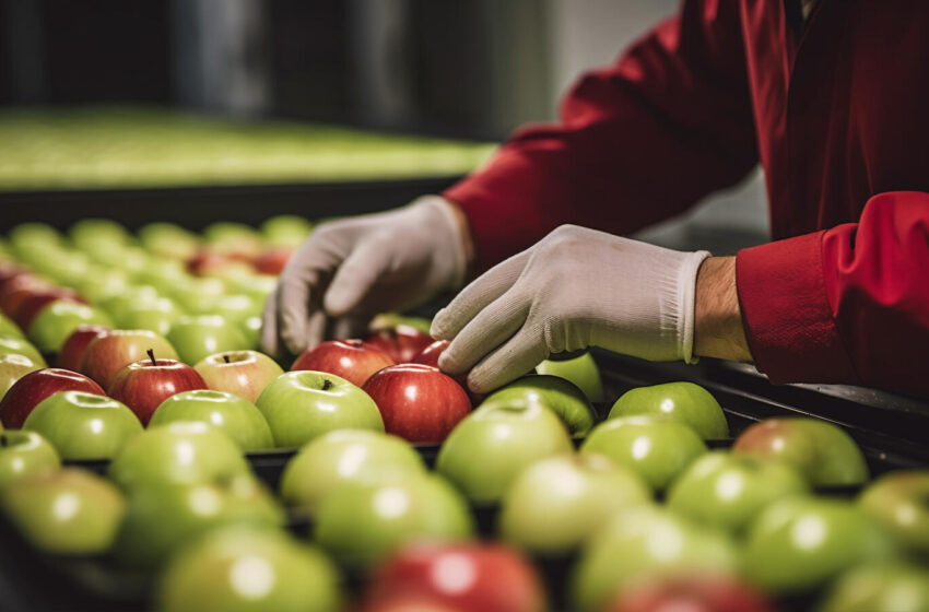  Governo busca reverter tarifa dos EUA sobre produtos brasileiros antes de agosto