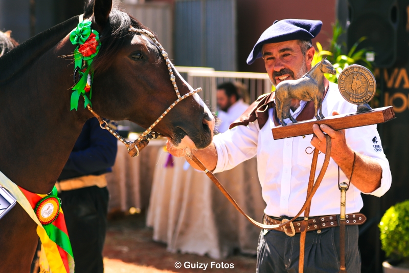  Cavalo Crioulo retorna ao Parque do Peão de Barretos após quase 20 anos