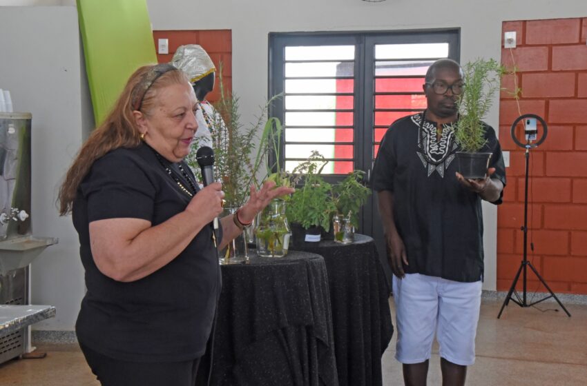  Casa Afro promove palestra sobre ancestralidade e uso de ervas medicinais em Barretos