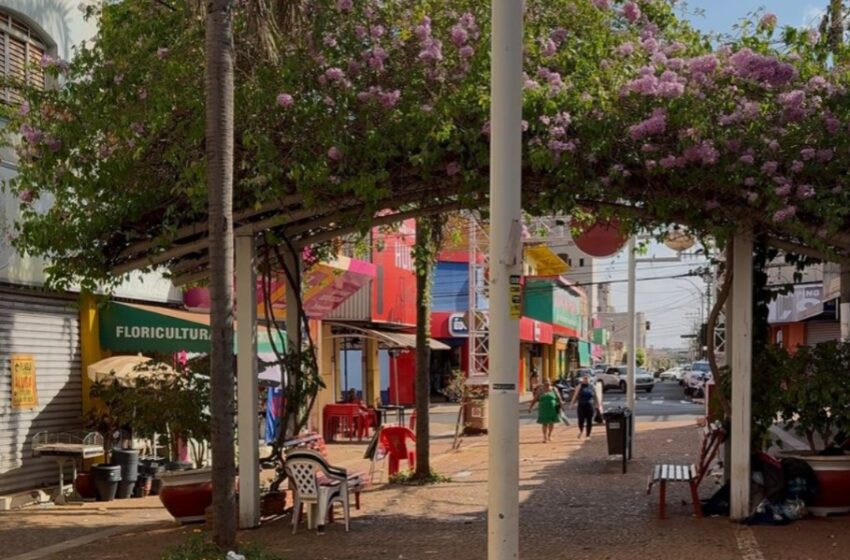 Prefeitura inicia obras de abertura do Calçadão da Avenida 17