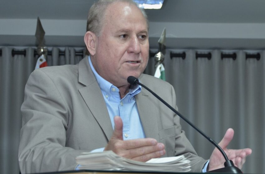 Vereador propõe plano de arborização urbana para ampliar áreas verdes em Barretos