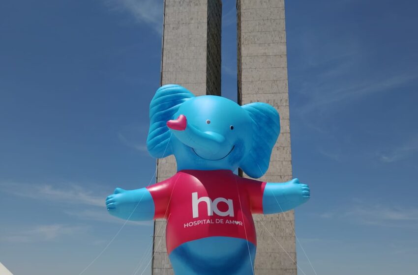 Mamu, mascote do Hospital de Amor, leva mensagem do Outubro Rosa ao Congresso Nacional