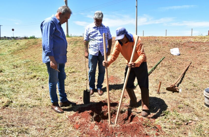  Barretos inicia plantio de mudas em parceria com a CPFL pelo programa Arborização + Segura