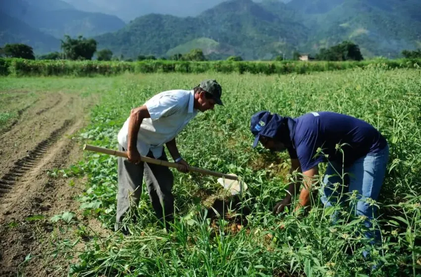  Microcrédito com juros de 0,5% ao ano impulsiona pequenos produtores pelo Programa Conquista+ da CAIXA