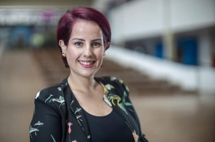  Programa estadual incentiva artesãos a se tornarem empreendedores em São Paulo