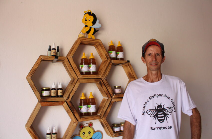  Entre abelhas e sabores: a história de quem transforma mel em sustento, educação e consciência ambiental
