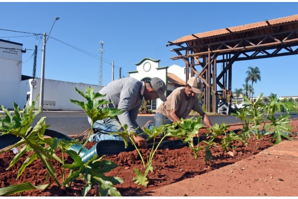  Paisagismo começa a ser implantado em obra de reurbanização da Avenida Eng. Necker
