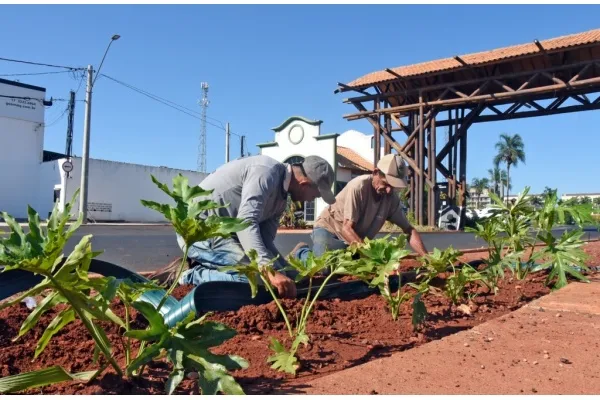  Paisagismo começa a ser implantado em obra de reurbanização da Avenida Eng. Necker