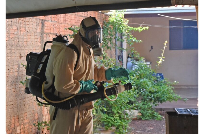  Casos de dengue caem 94% no início de 2026, aponta Secretaria de Saúde