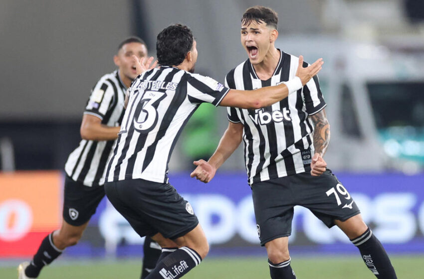  Botafogo e Vitória vencem na retomada do Campeonato Brasileiro
