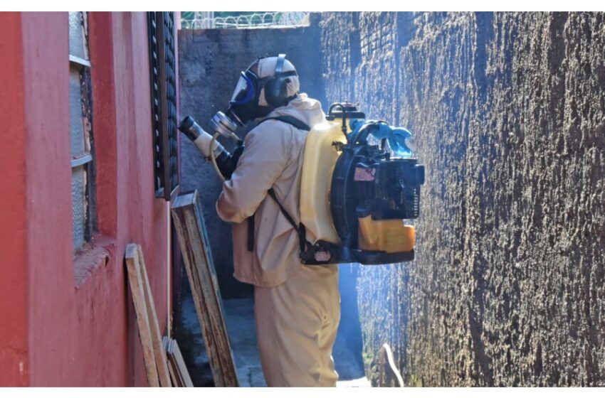  Casos de dengue caem 94% no primeiro semestre, aponta levantamento